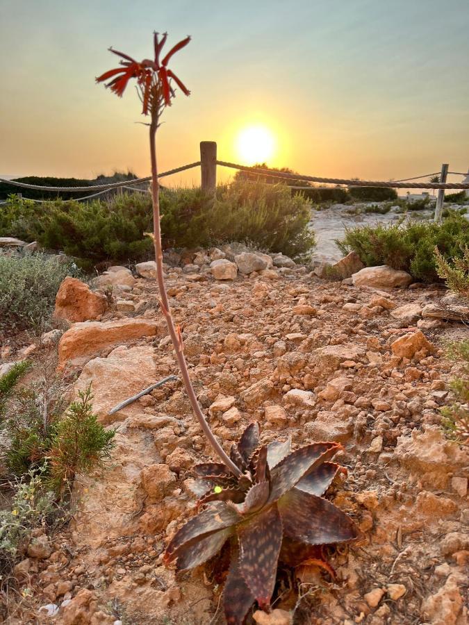 Вілла Arenas Del Mar Formentera Es Arenals Екстер'єр фото